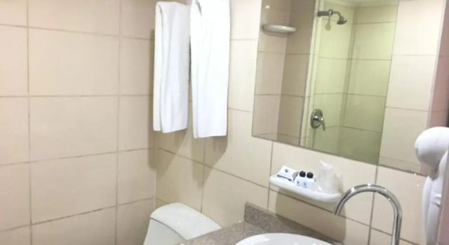 Двухместный номер Executive Hotel San Francisco de Asís