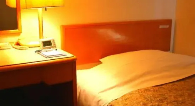 Hotel Mates Ageo, Book Hotel Ageo Saitama