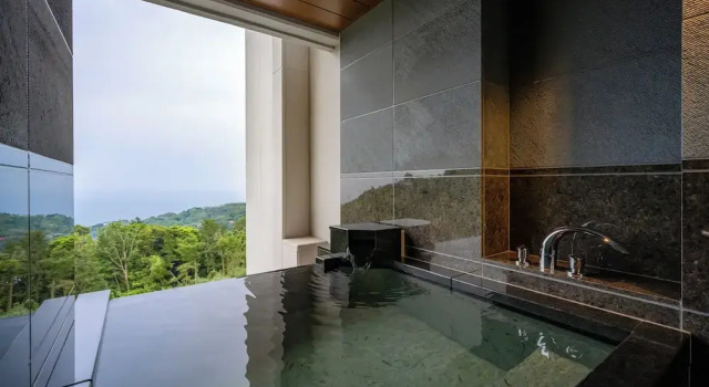 Номер Deluxe Izu Hotel Resort & Spa