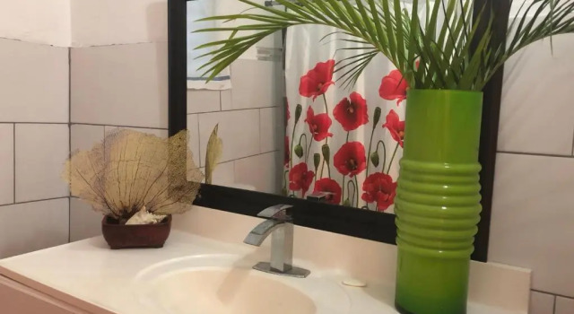 Четырёхместный номер Standard Vieques Good Vibe Guest House