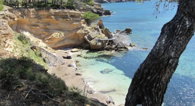 Studio Agroturisme s Horta