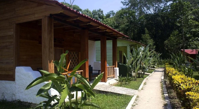 Номер Standard Ecolodge Las Nubes Chiapas