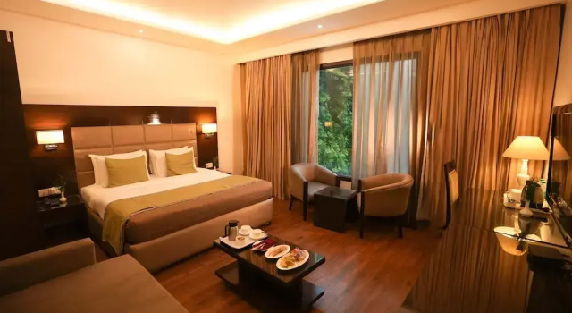 Номер Superior Hotel Africa Avenue - Greater Kailash 1