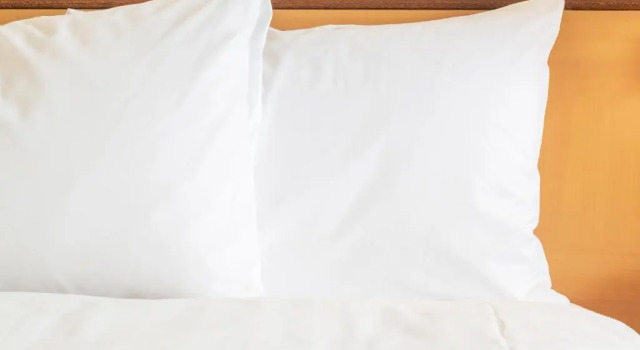 Run of House Hotel Indigo Atlanta Airport College Park by IHG
