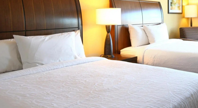 Четырёхместный номер Standard Hilton Garden Inn Olathe