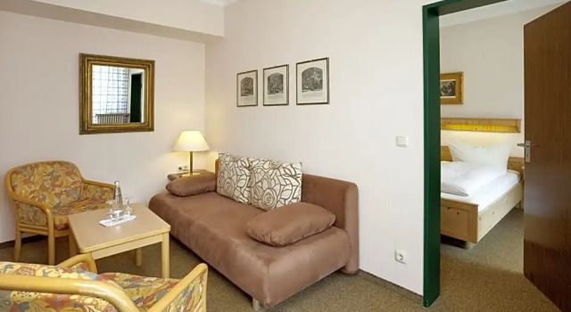 Номер Superior Euro Park Hotel International