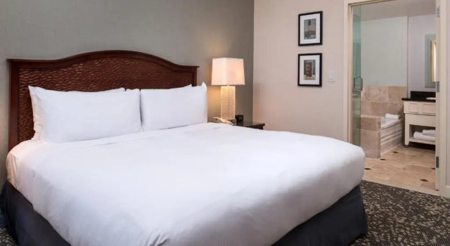 Двухместный люкс c 1 комнатой Hilton San Antonio Hill Country