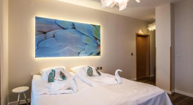 Номер Comfort Apartamenty Castello