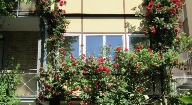 KernerApartement, Réserver Hôtel Stuttgart-Mitte Stuttgart, près de Centre commercial Milaneo