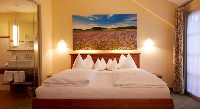 Двухместный номер Standard Hotel & Restaurant Stern