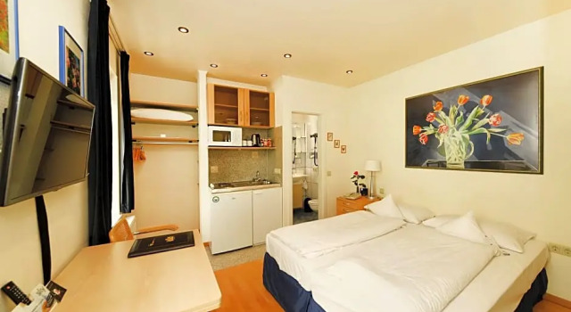 Апартаменты c 1 комнатой Rhein-Hotel Nierstein
