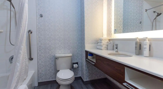 Люкс Hampton Inn & Suites Denton