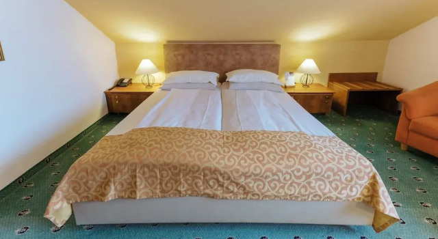Номер Business Garten-Hotel Ochensberger