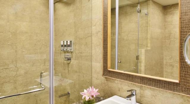 Двухместный номер Standard с видом на горы Four Points by Sheraton Srinagar
