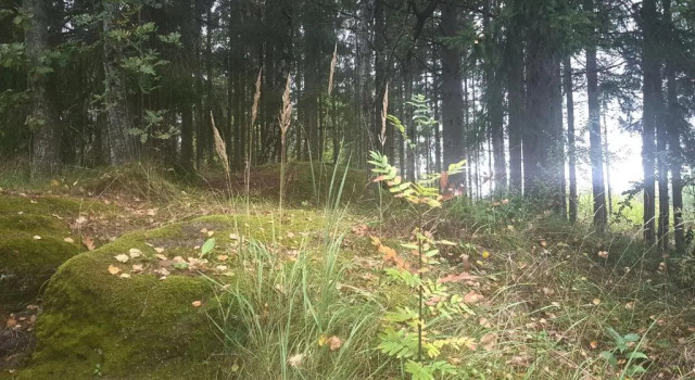 Апартаменты с 2 комнатами Apartments "Ecohouse" nearby Håverud Dalsland Sweden