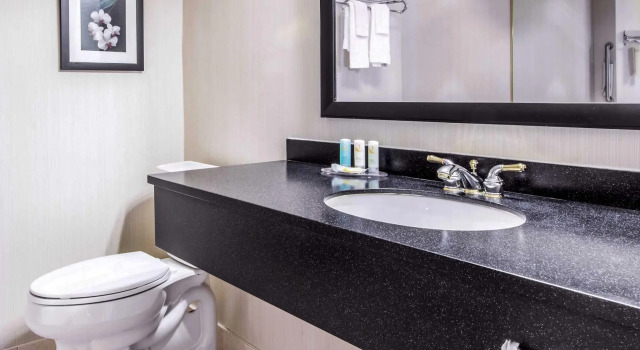 Номер Standard Spark by Hilton Toronto Mississauga