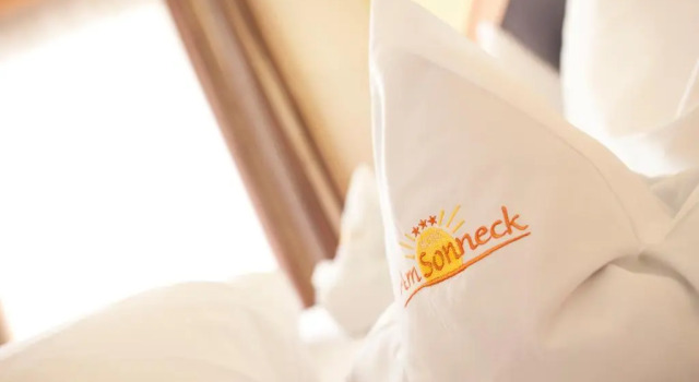 Номер Standard Hotel Am Sonneck
