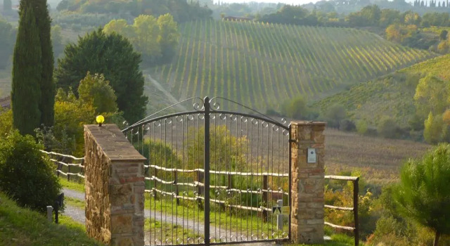 Podere Sionne