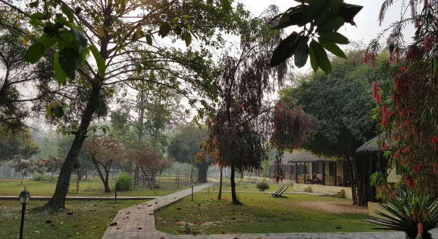 Номер Standard Lumbini Buddha Garden Resort