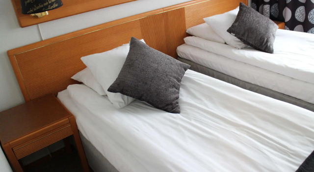 Двухместный номер Standard Arena Hotell