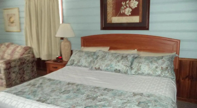 Люкс Mount Blue Motel