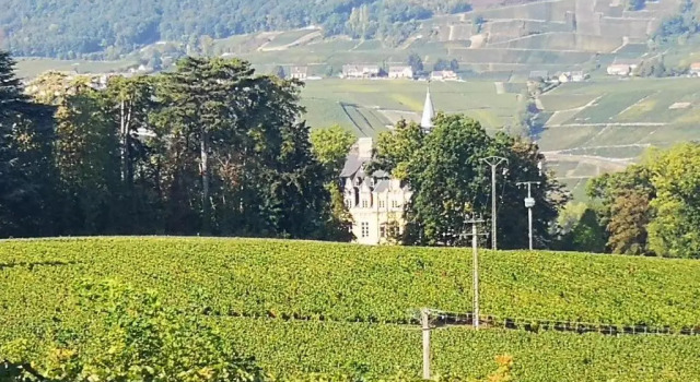 Коттедж с видом на сад Le Temps D'une Pause à Boursault