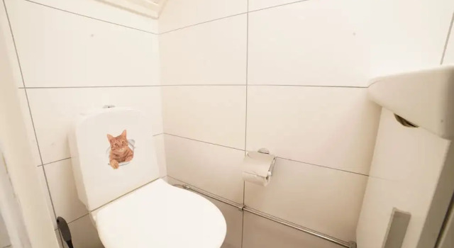 Номер Economy Mary Rooms