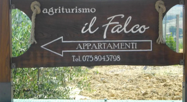 Апартаменты Agriturismo Il Falco