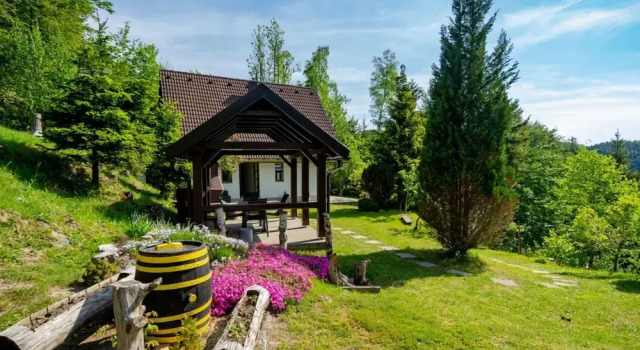 Holiday House Briški