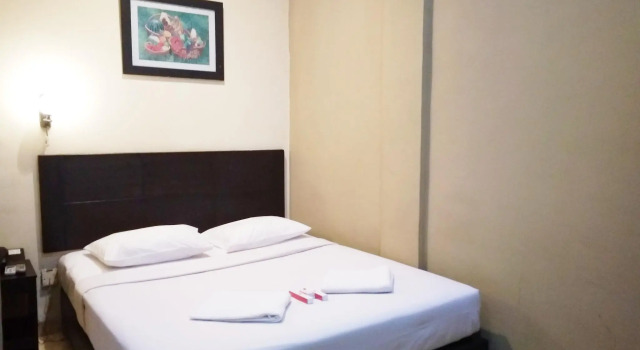 Номер Deluxe Parma City Hotel