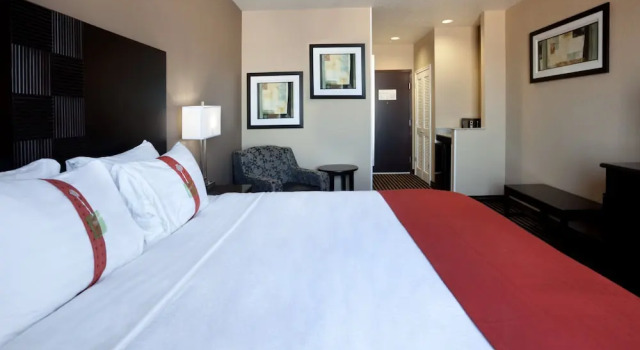 Номер Premium Holiday Inn San Antonio North Stone Oak Area by IHG-Newly Renovated