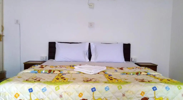 Двухместный номер Deluxe с видом на озеро Dreamyard Udaipur