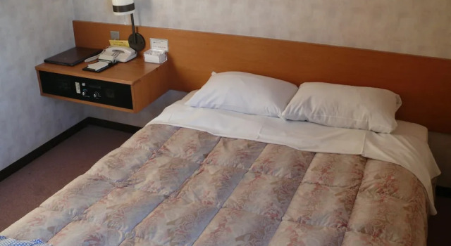 Двухместный номер Standard Mihara Kokusai Hotel
