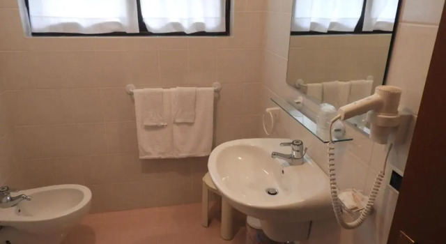 Двухместный номер Economy Albergo Stella Alpina
