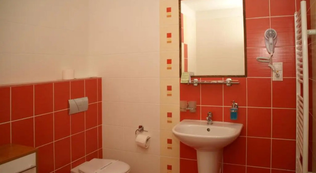 Номер Standard Hotel Avalanche