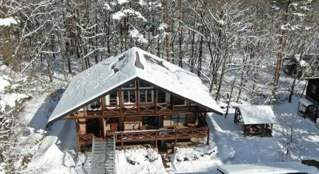 Вилла Superior HAKUBA Grace Inn