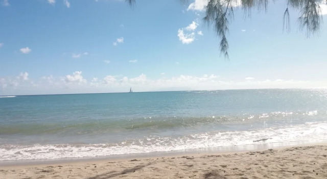 A Peace of Paradise St. Lucia, Rezerwuj Pensjonat Hotele w Vieux Fort z parkingiem, Parking