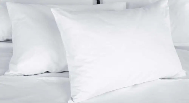 Четырёхместный номер Deluxe Magnuson Hotel Little Rock South