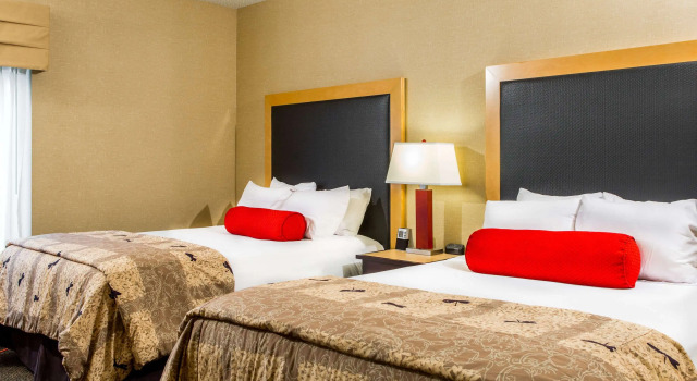 Четырёхместный люкс Cambria Hotel Raleigh-Durham Airport