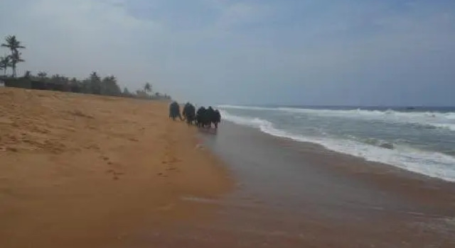 Chez le Naturaliste, Book Hotel Hotels in Ouidah with Parking, Parking