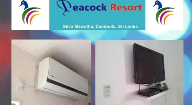 Четырёхместный номер Economy New Peacock Resort