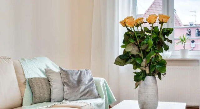 Апартаменты Deluxe Elite Apartments City Center Korzenna