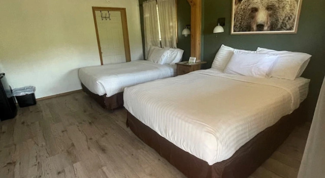 Номер Comfort The Spruce Lodge