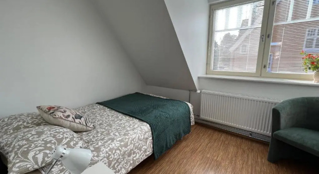Standardní Dvoulůžkový s manželskou postelí pokoj Hostel Ingeri