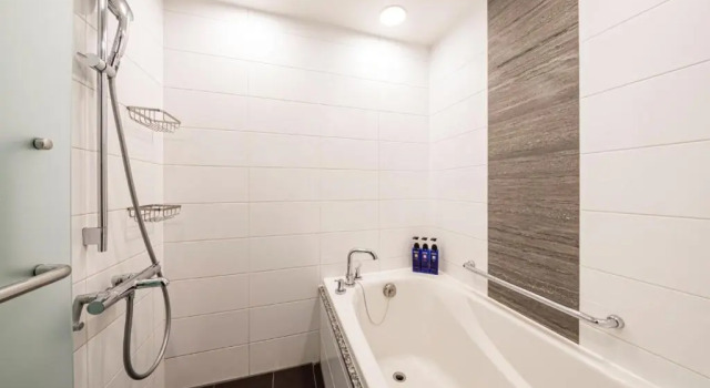 Двухместный номер Executive с видом на город Asakusa View Hotel