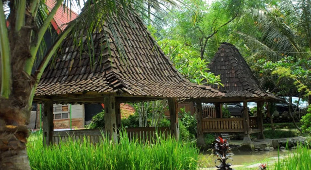 The Pikas Resort