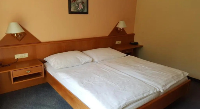 Двухместный номер Standard Hotel Geier