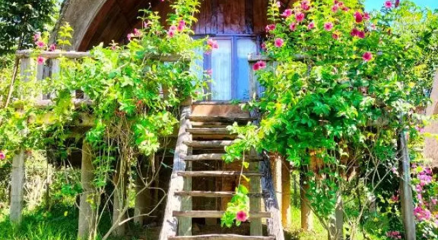Бунгало Rice straw Green lodge- resort