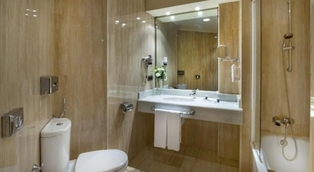 Standard Kahden hengen huone Tryp Oviedo Hotel