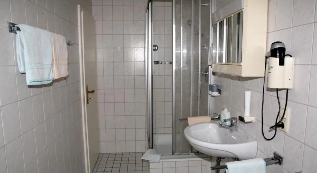 Номер Standard Hotel Alpenrose